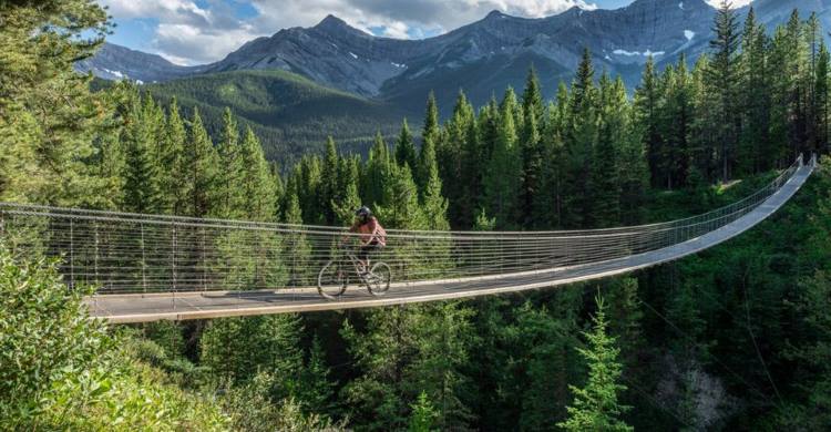 Suspension Pedestrian Bridges