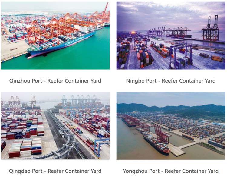Cold Chain Reefer Container Monitoring System:Application Scenario and Case