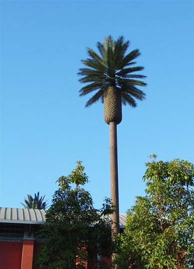 Telecommunication Bionic Tower
