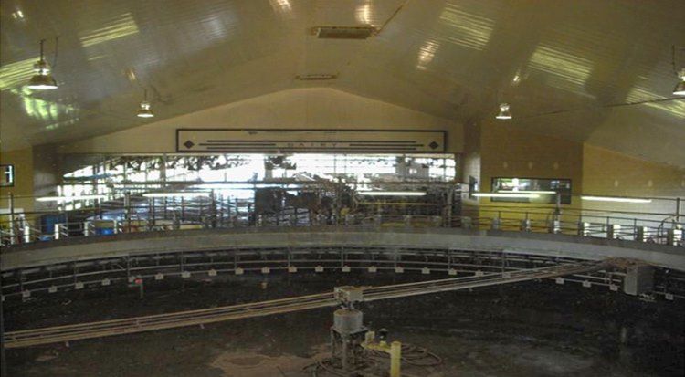 Dairy Parlor Metal Building With Cow Milking Rotary and Partial Mezzanine | Made In China ZHM